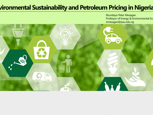 Environmental Sustainability and Petroleum Pricing in Nigeria