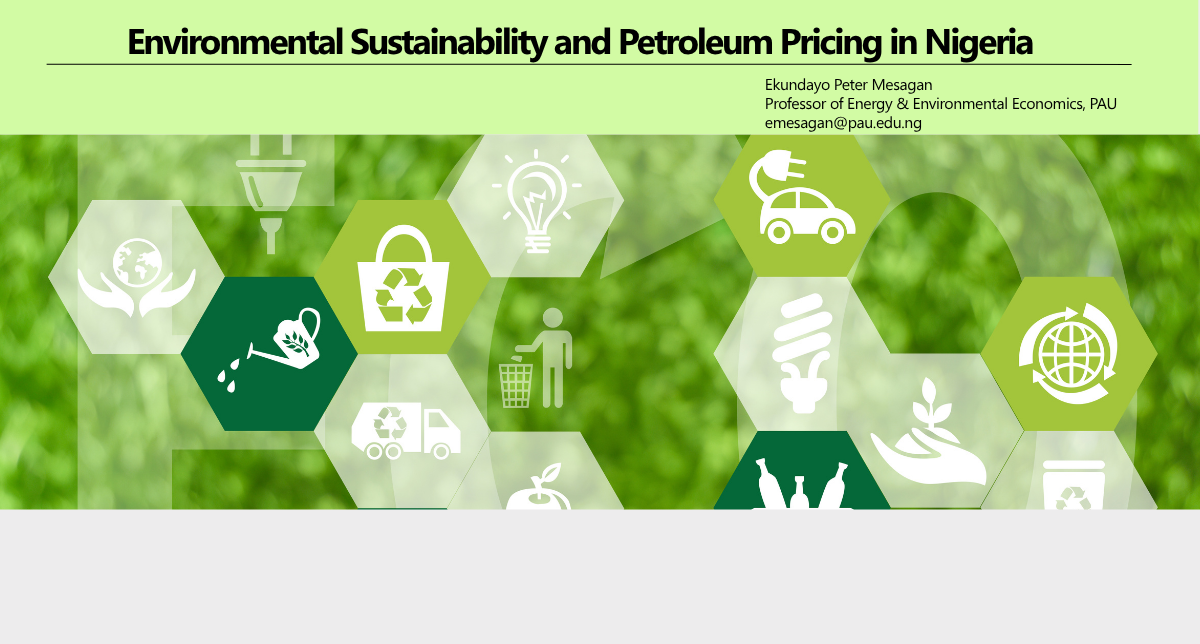 Environmental Sustainability and Petroleum Pricing in Nigeria